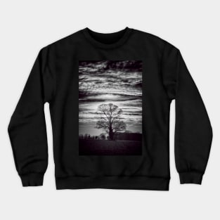 One Tree Crewneck Sweatshirt